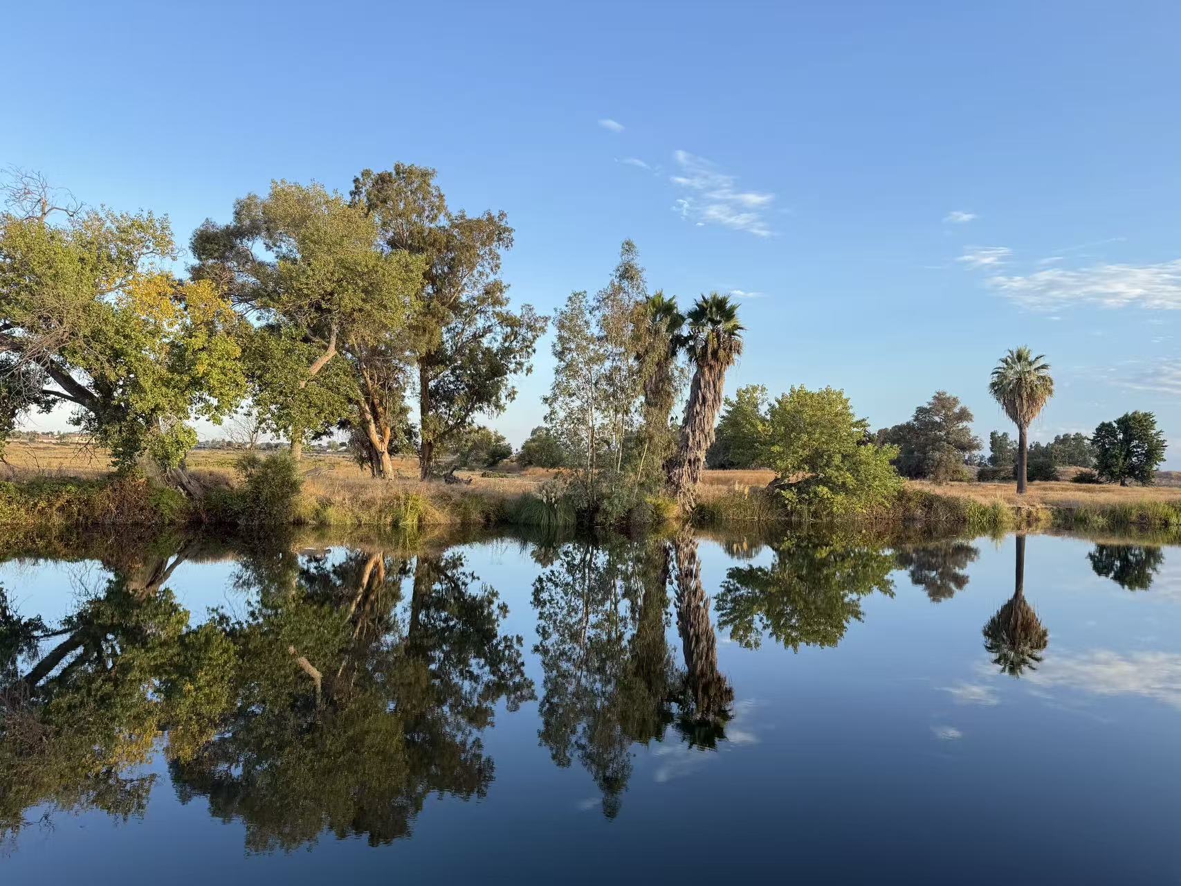 4790 Discovery Point